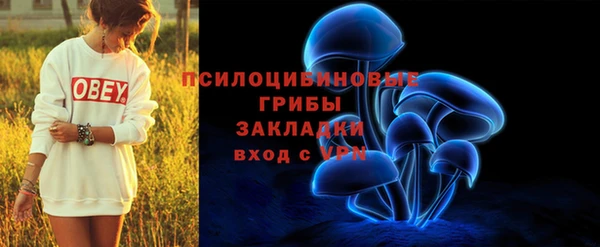 прущая мука Белокуриха