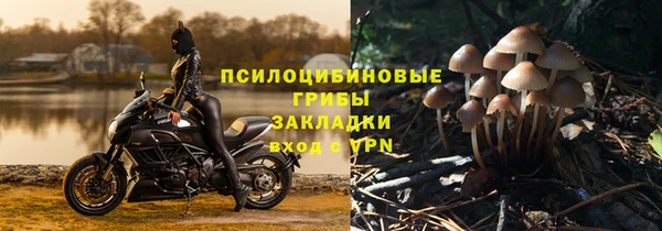 прущая мука Белокуриха
