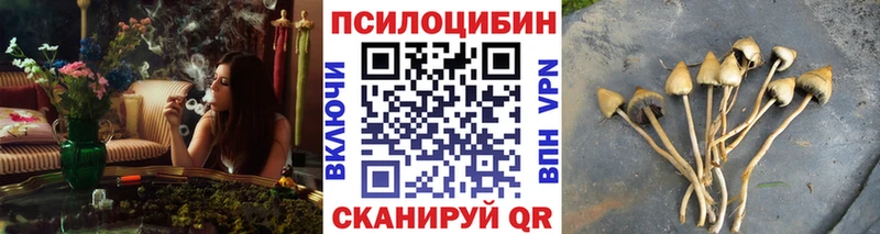 Галлюциногенные грибы Psilocybine cubensis Дигора