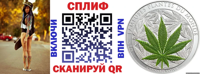 купить   Дигора  Канабис марихуана 